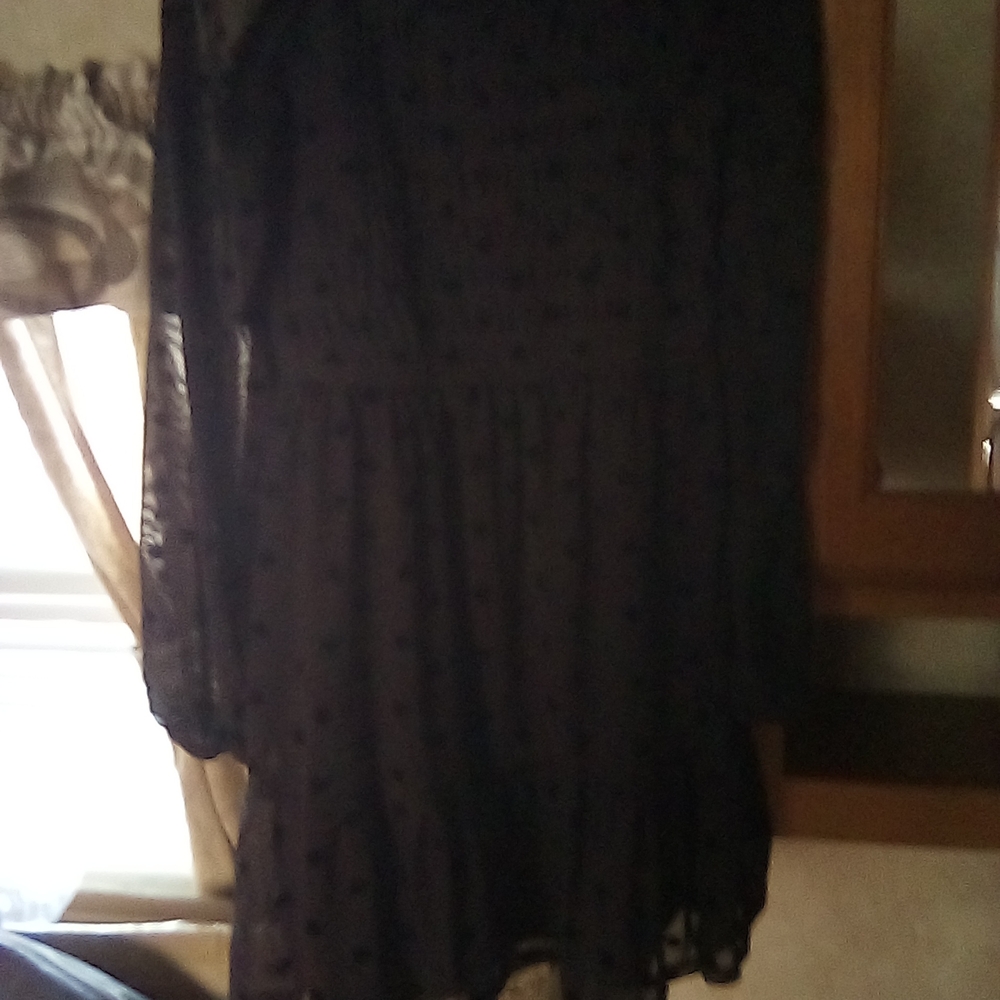 Black Sheer Long Sleeve Dress